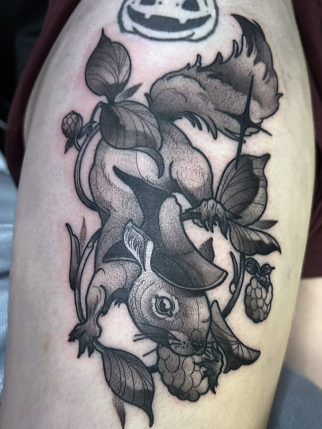 sarastigmata