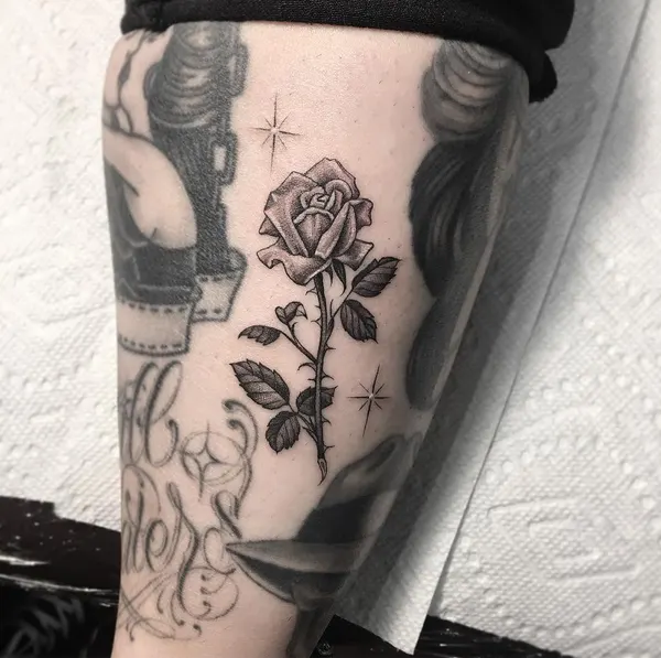 Flower, Rose