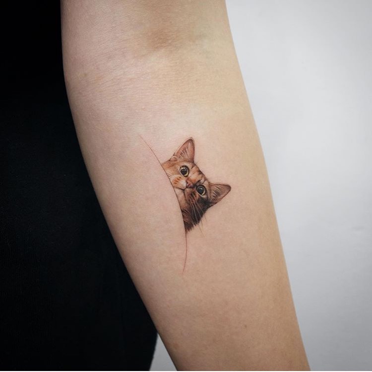 equilattera