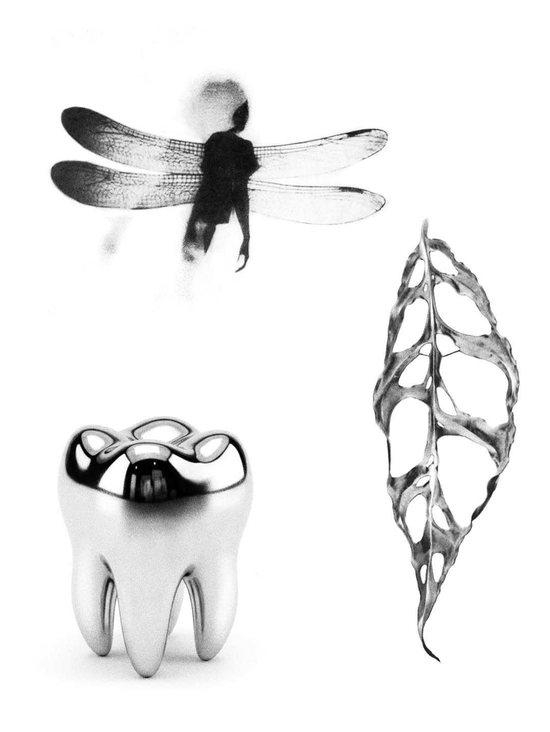 plantsnpokes