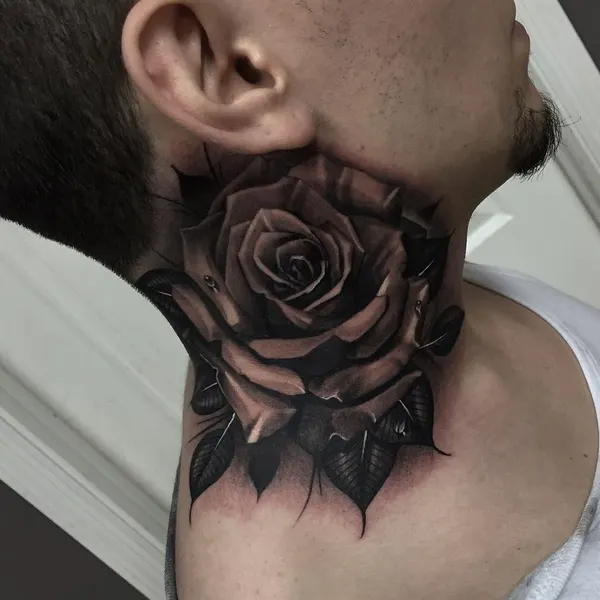 Rose, Nature, Flower
