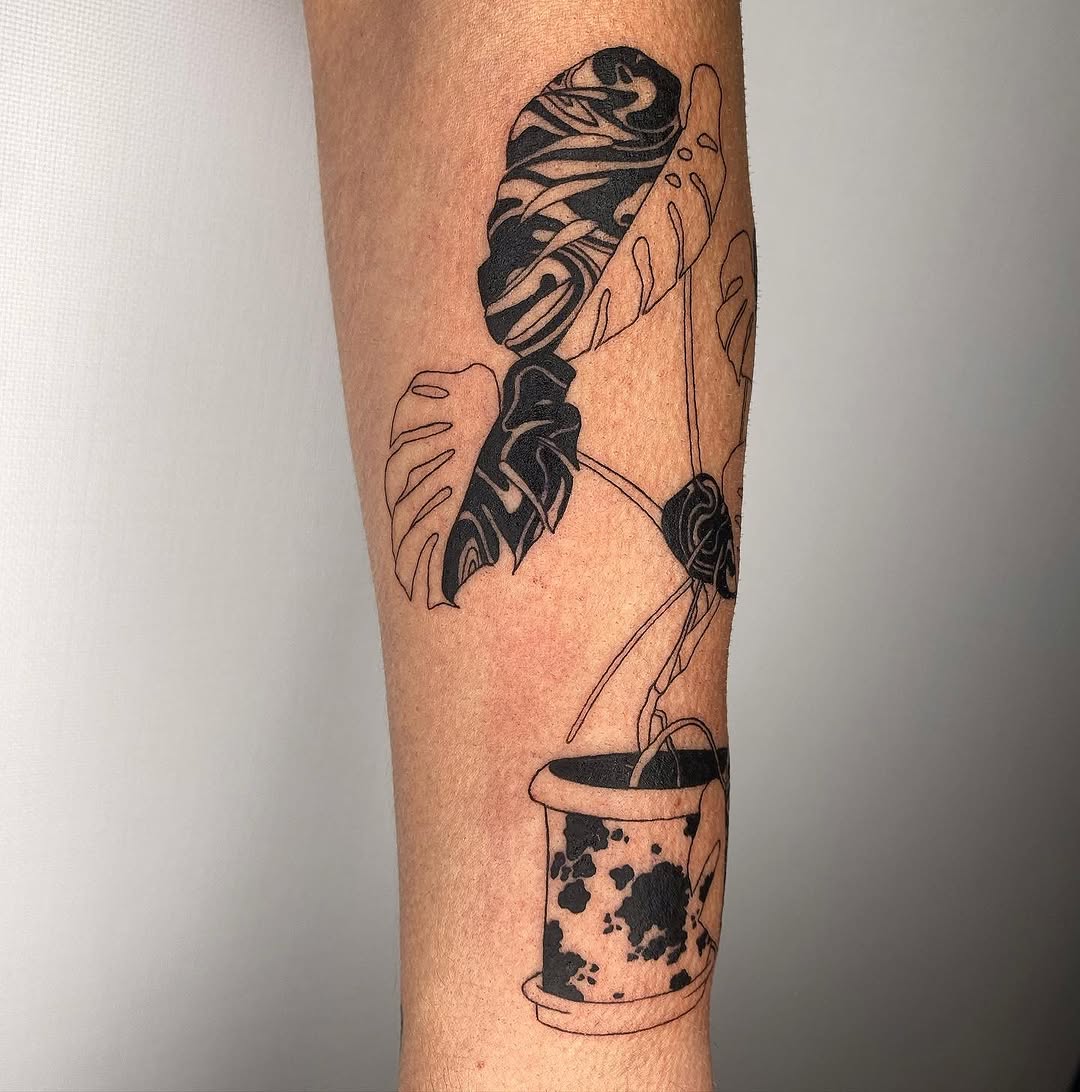 plantsnpokes