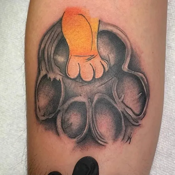 Animal