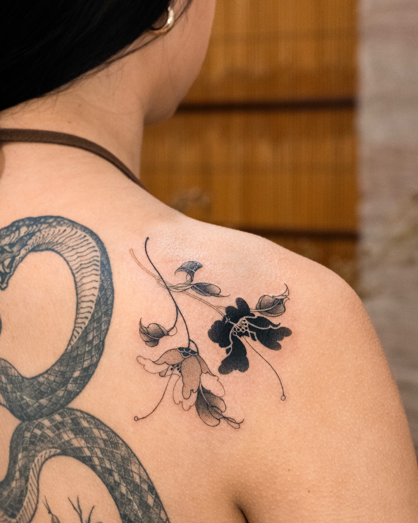 Flower, Rose, Nature