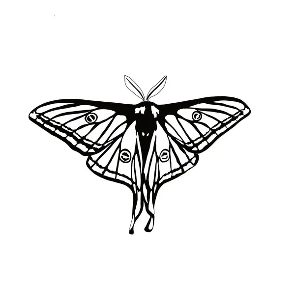 plantsnpokes