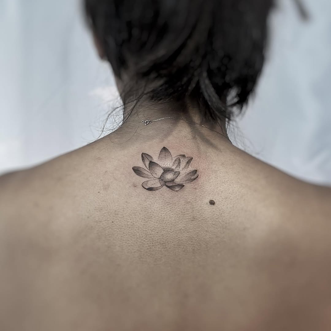 Flower, 연꽃, 한국 연꽃, 연꽃 만다라, 연꽃 문양
