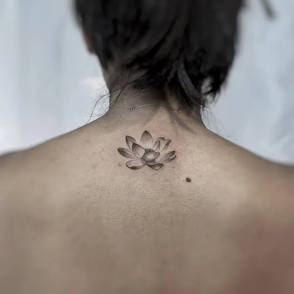 Flower, 연꽃, 한국 연꽃, 연꽃 만다라, 연꽃 문양