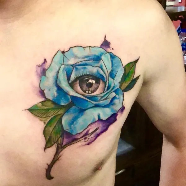 Flower, Rose, Nature
