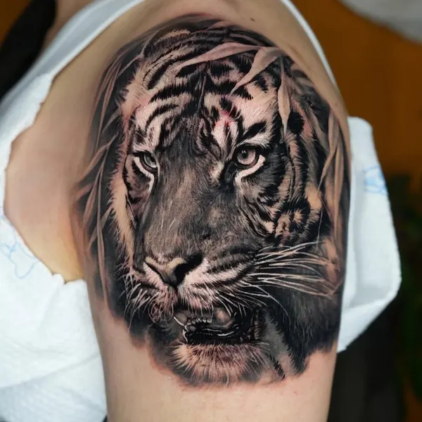 Tiger, 중국 호랑이