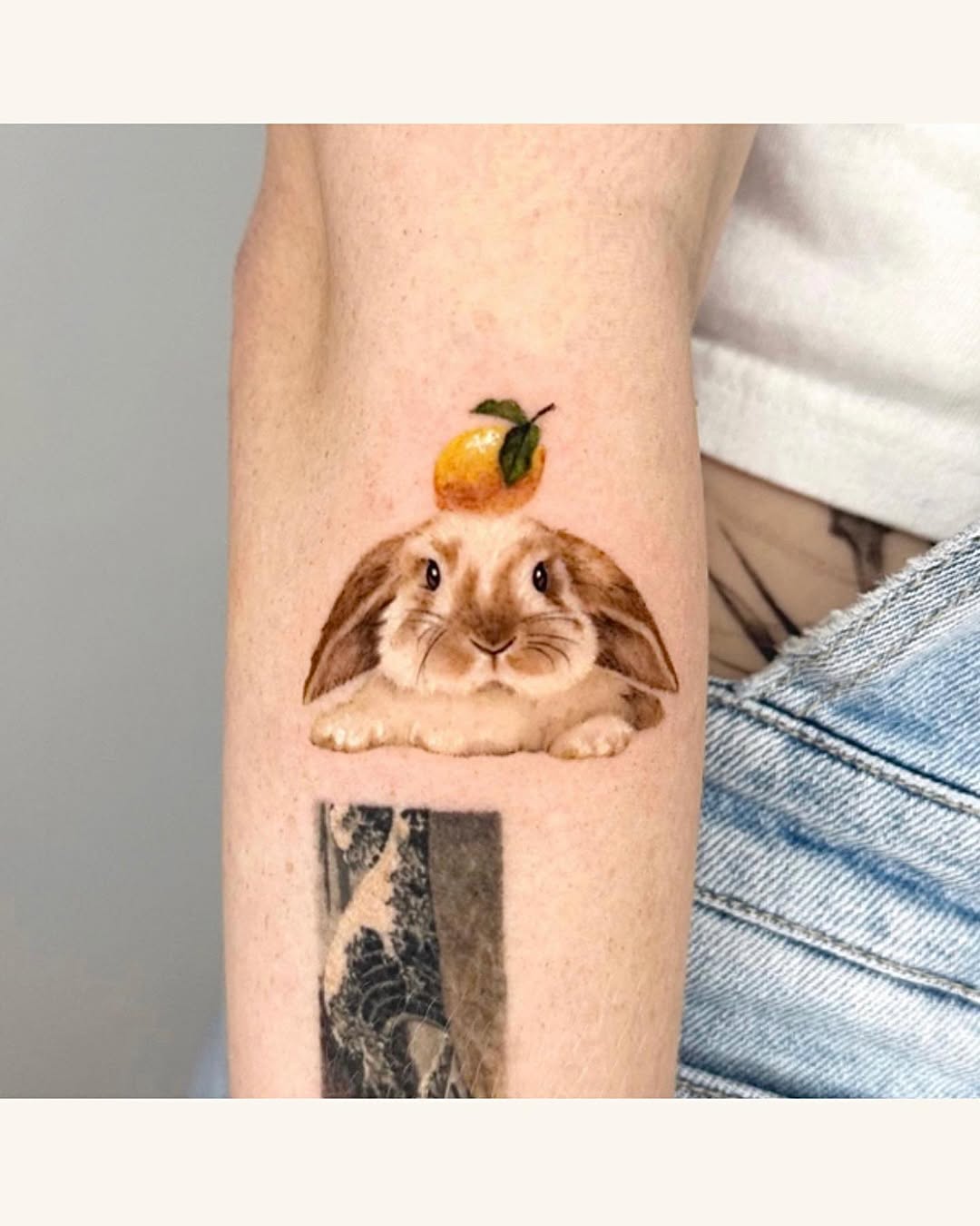 Animal