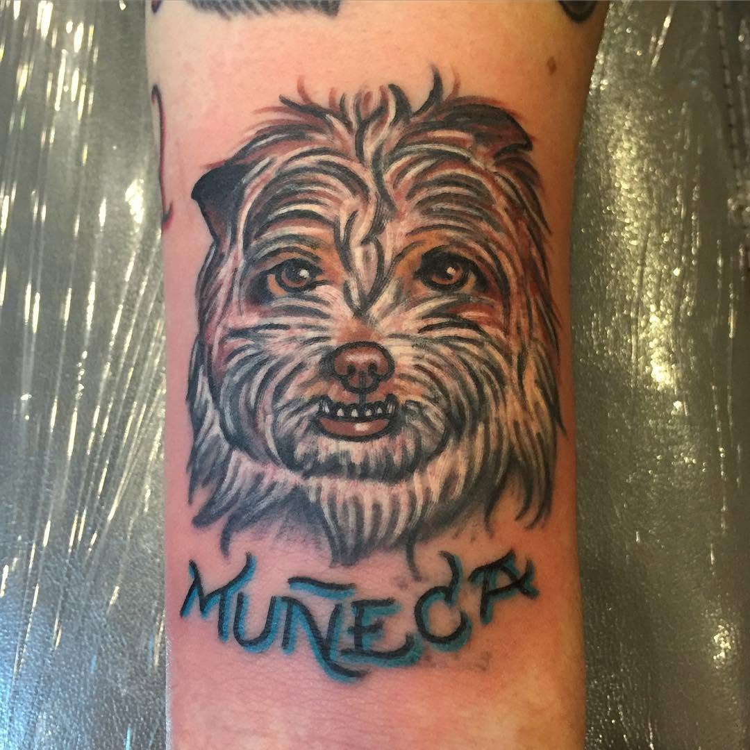 Animal