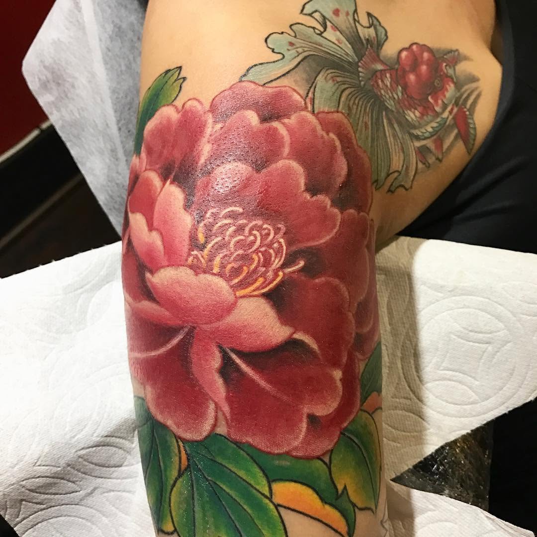 Flower, Rose