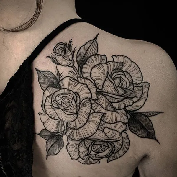Flower, Rose, Nature