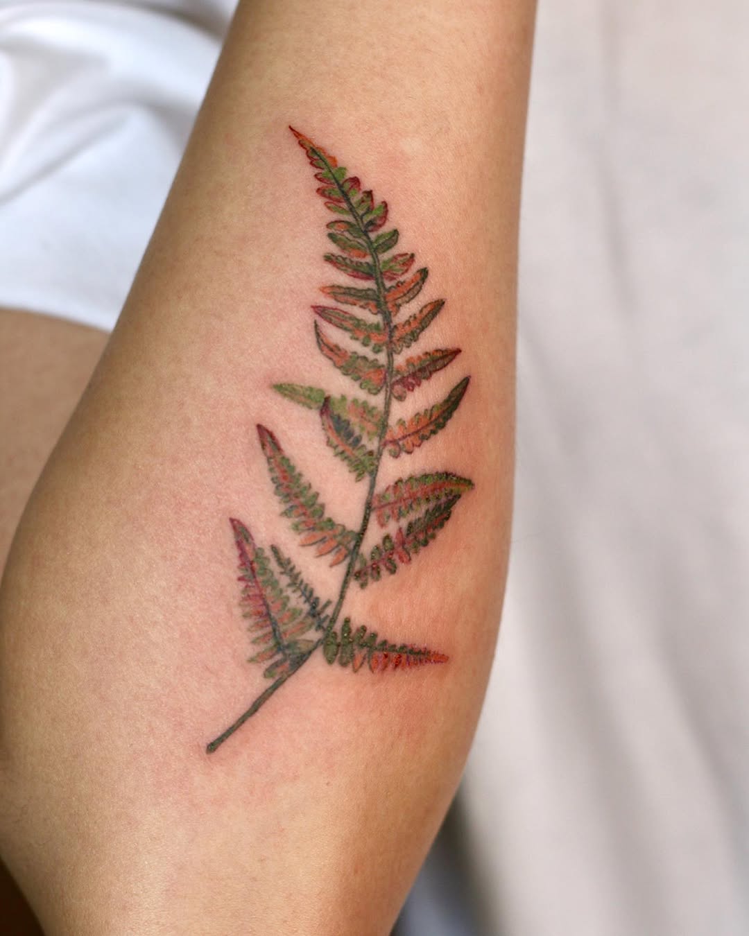 Flower, 고사리