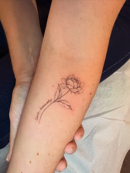 Flower, Rose