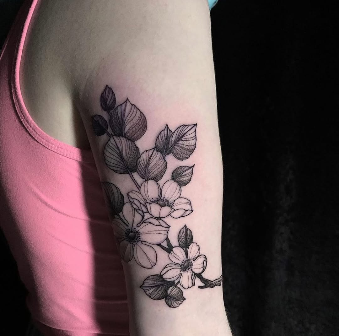 Flower, Rose, Nature