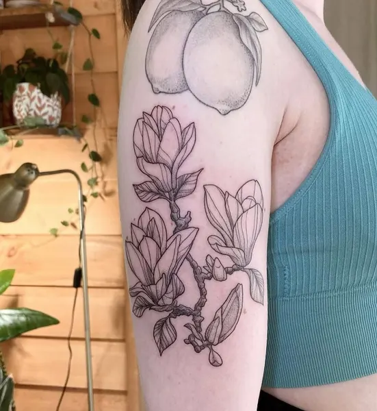 Flower, Rose, Nature