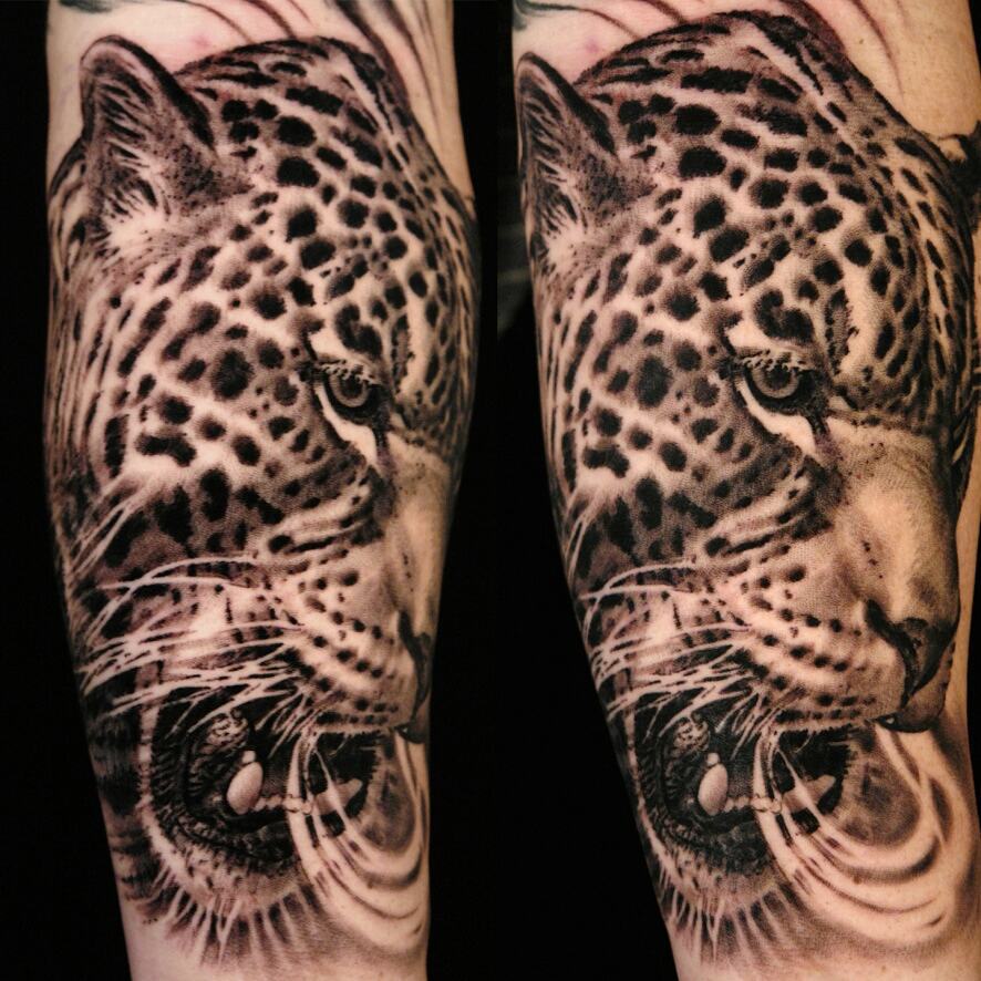 Animal