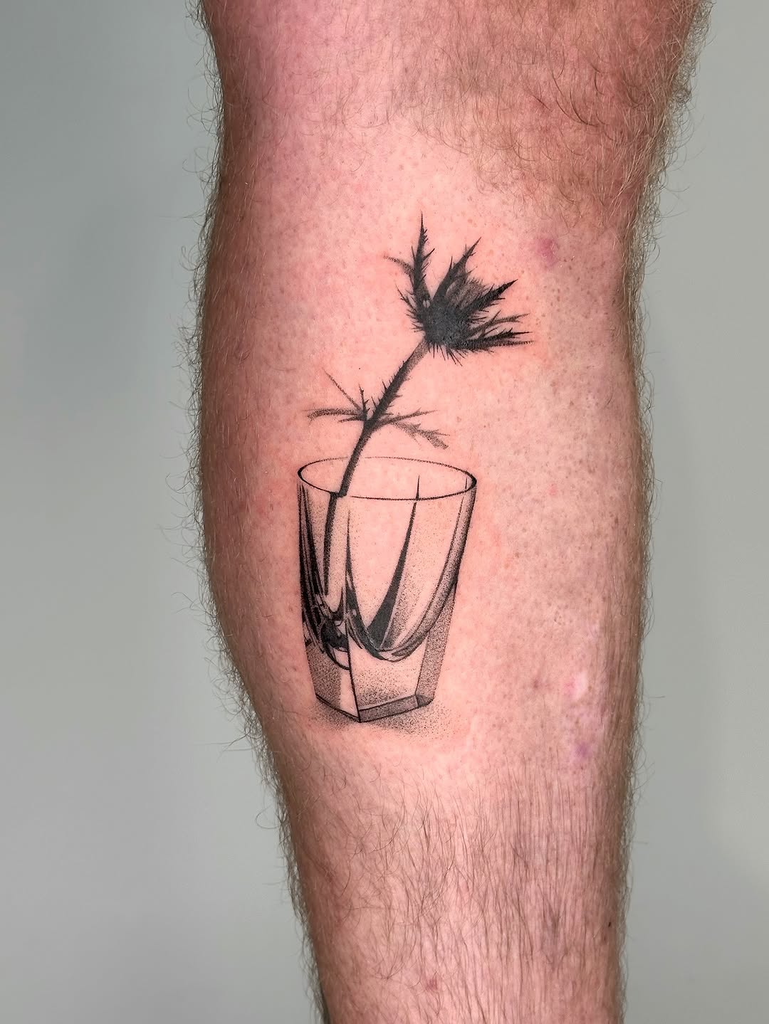 plantsnpokes