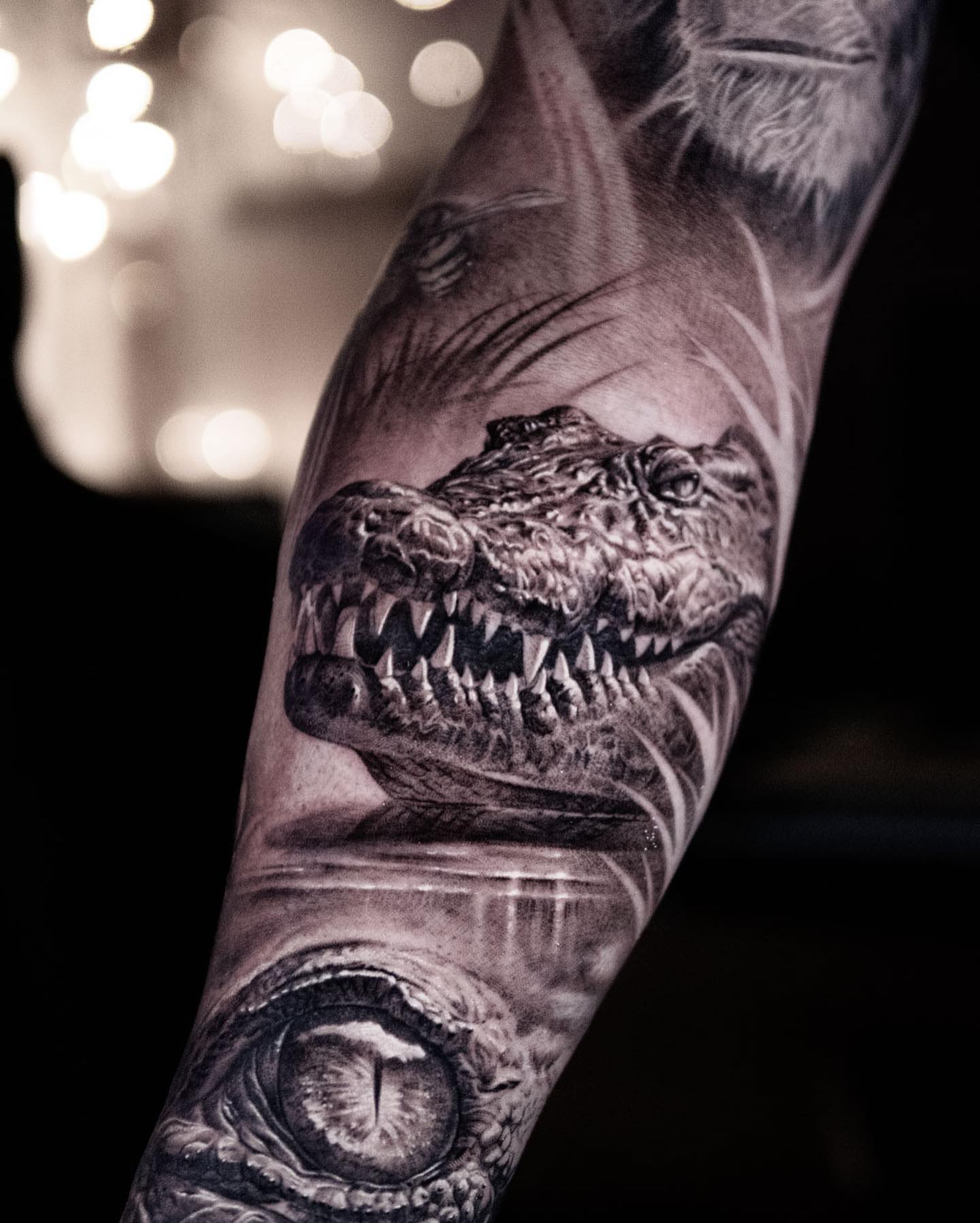 Dragon, 악어