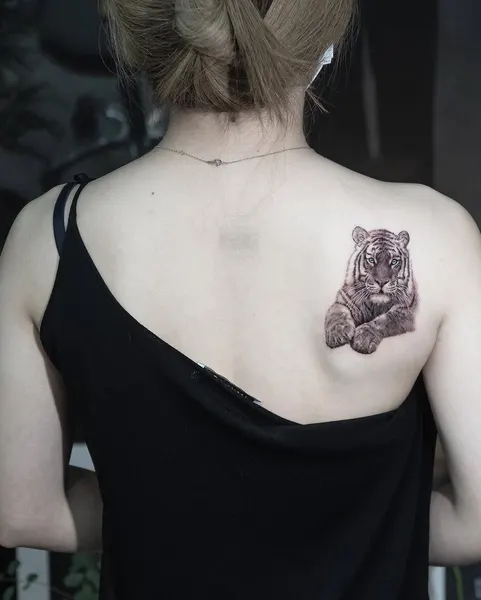 Tiger, 중국 호랑이, 한국 호랑이, 치타, 재규어