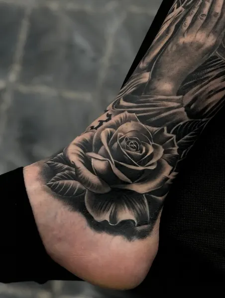 Flower, Rose