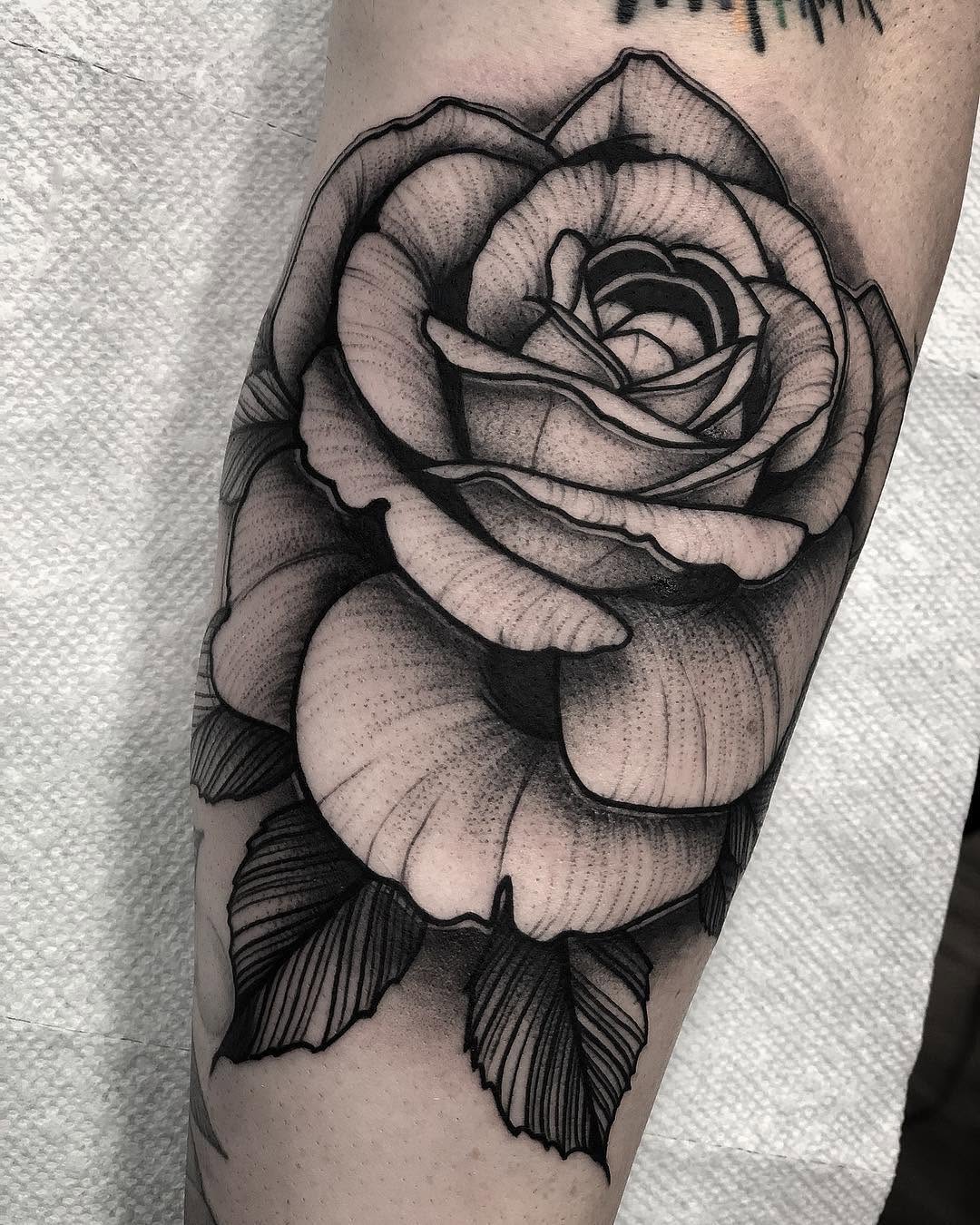 Flower, Rose
