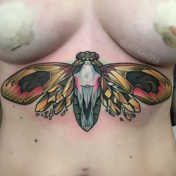 Animal, Nature