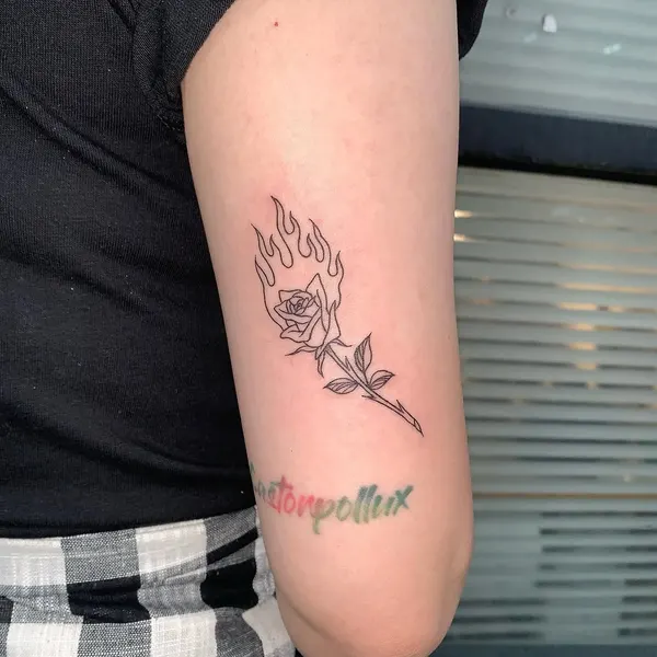 Flower, Rose