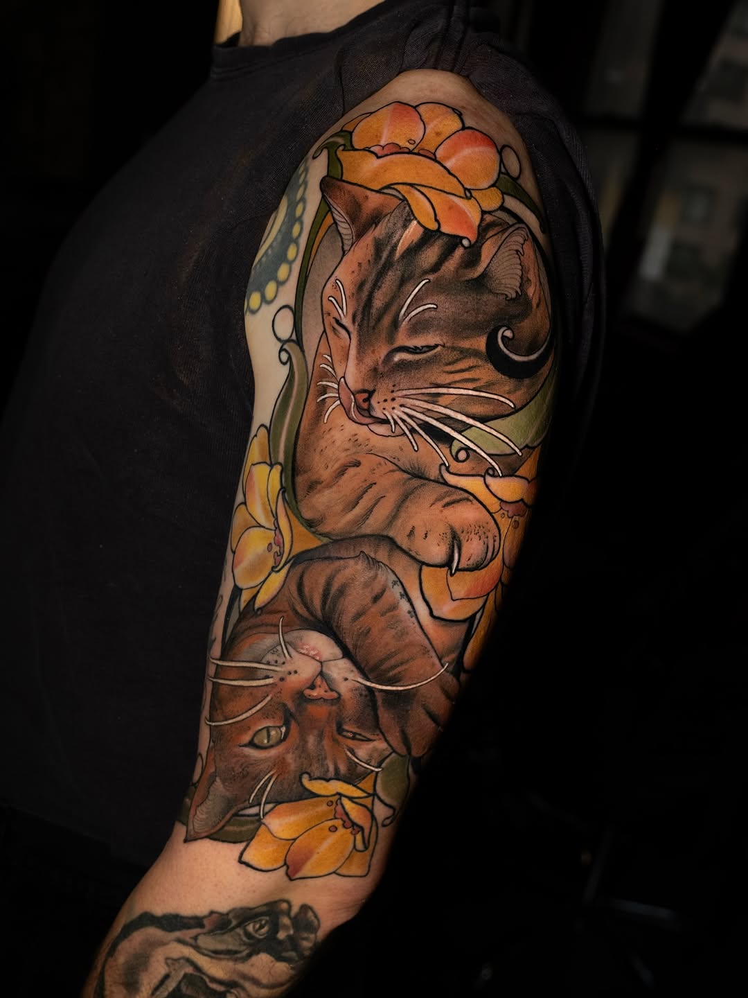 Animal