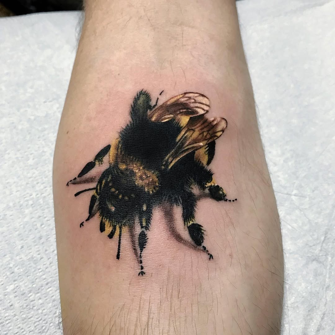 Animal
