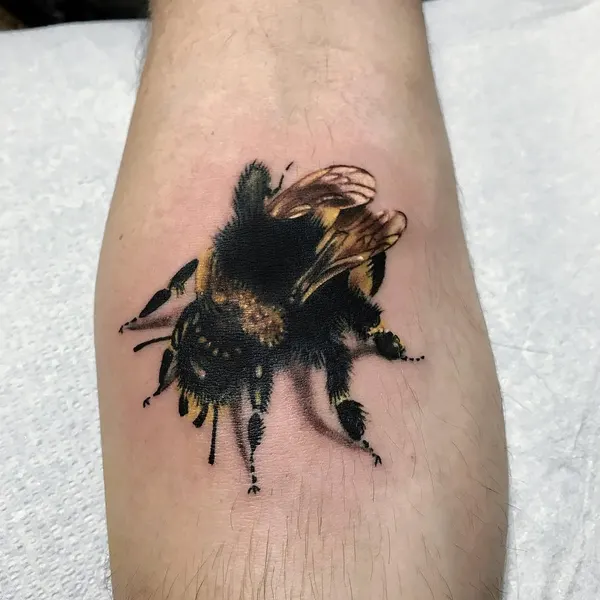 Animal