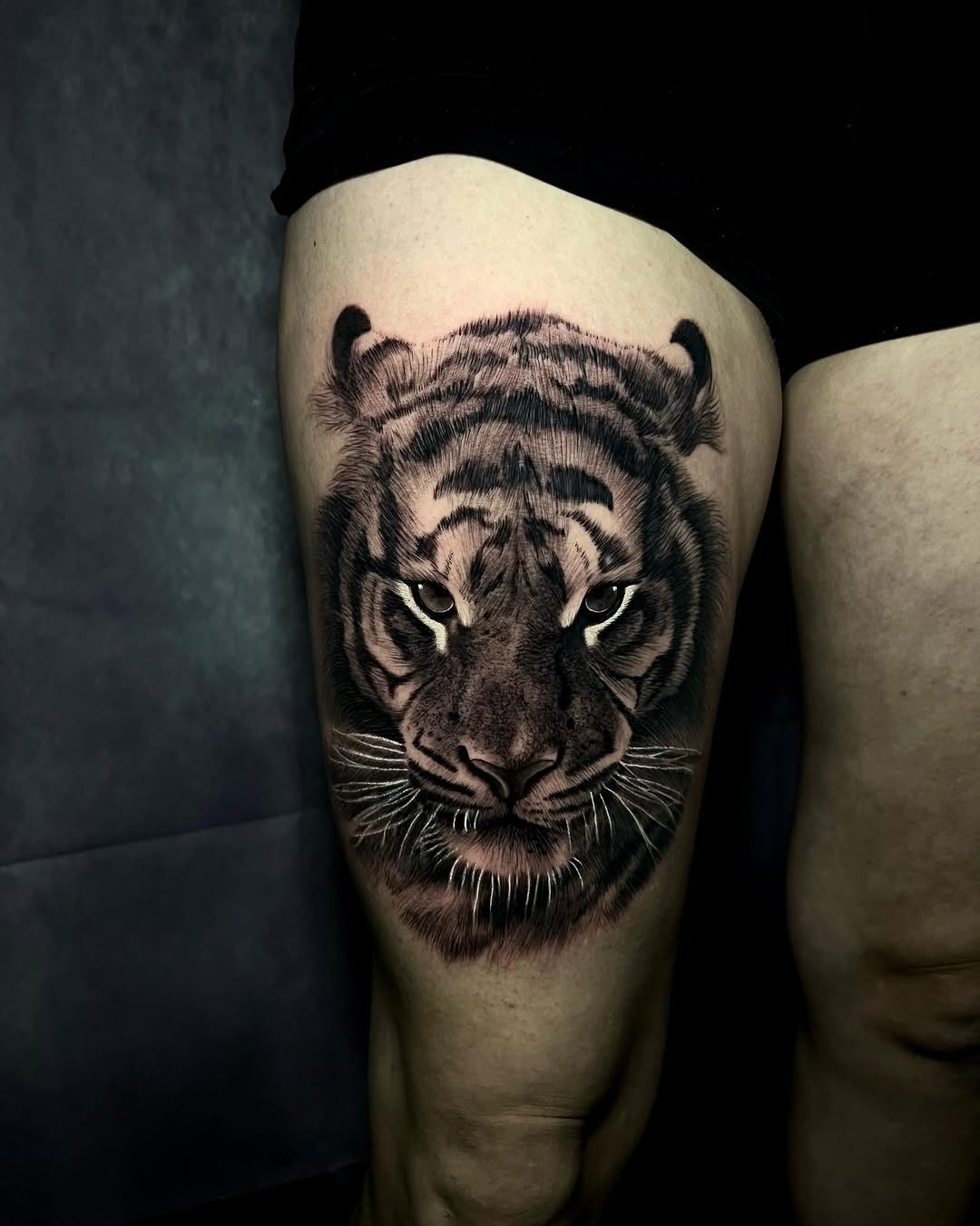 Tiger, 중국 호랑이, 한국 호랑이