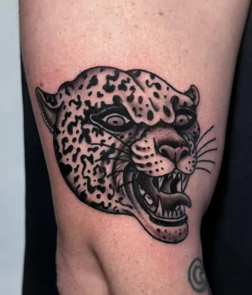 Animal, Tiger