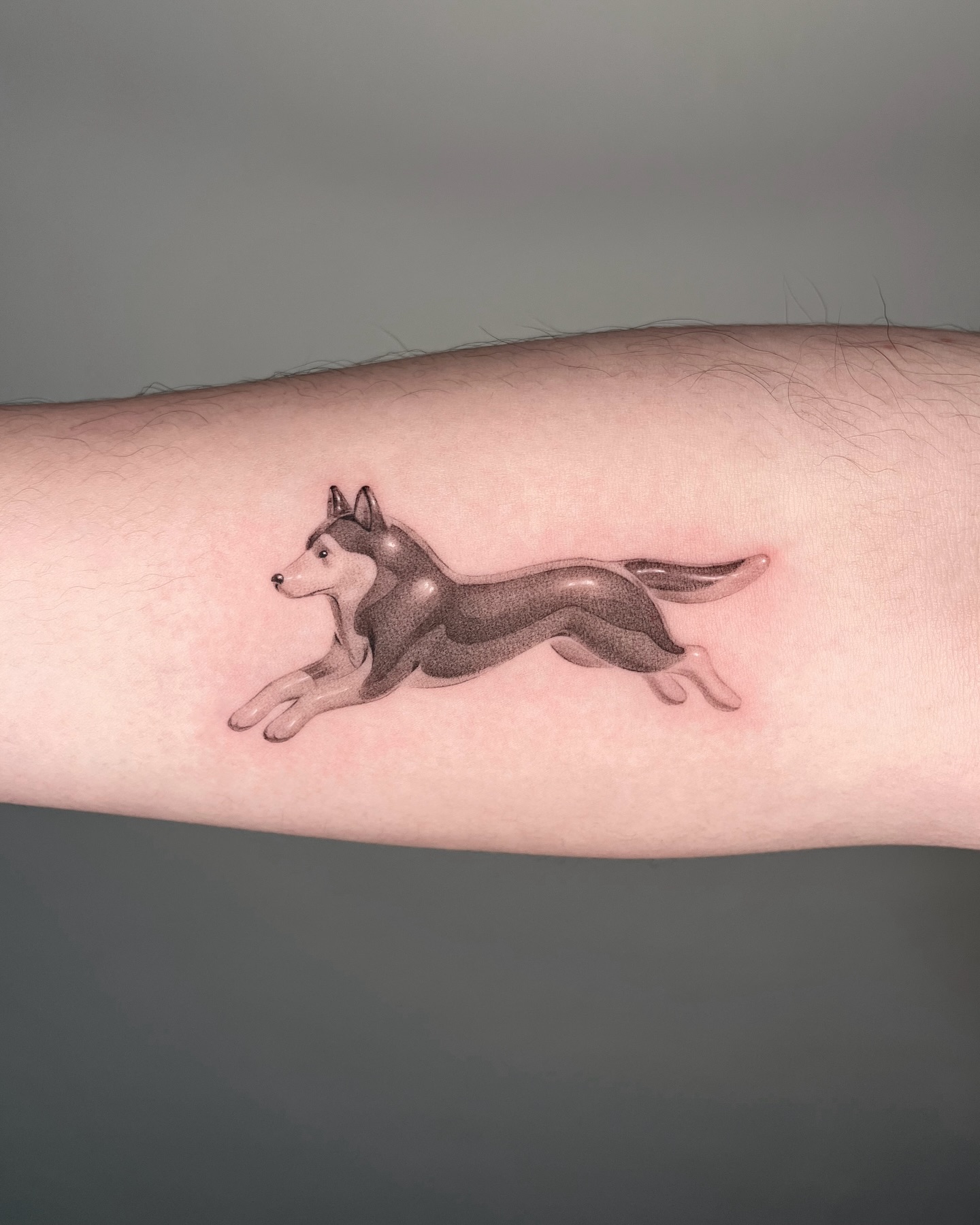 Animal