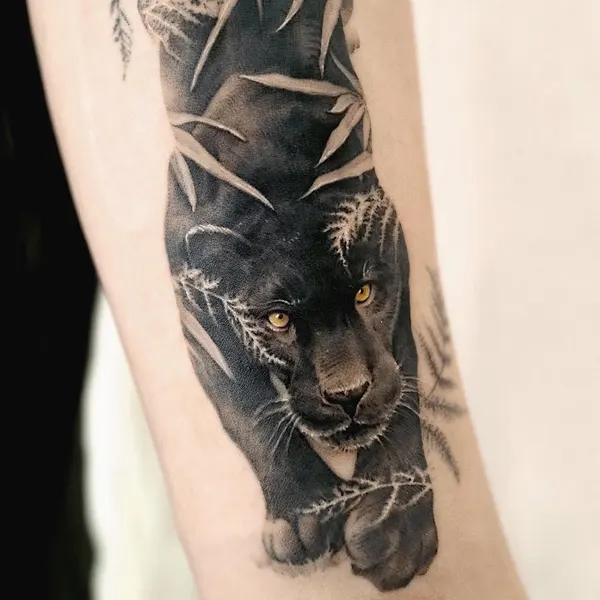 Animal