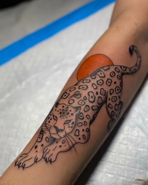 Tiger, Animal, 표범, 치타