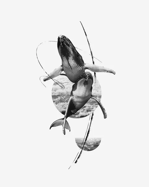 Nature, Animal