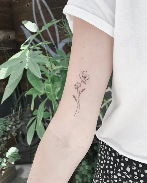 Flower, Rose