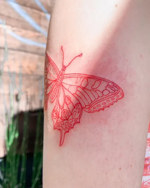 Animal, Nature, 나방, 요정