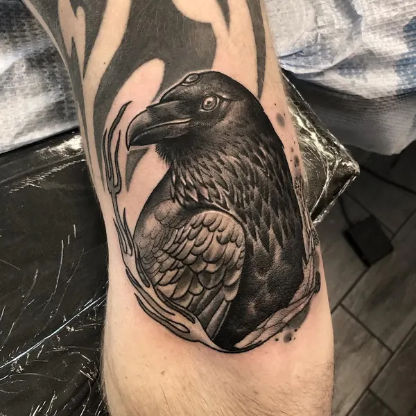 Animal