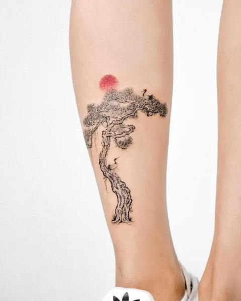 Nature, 나무, 소나무