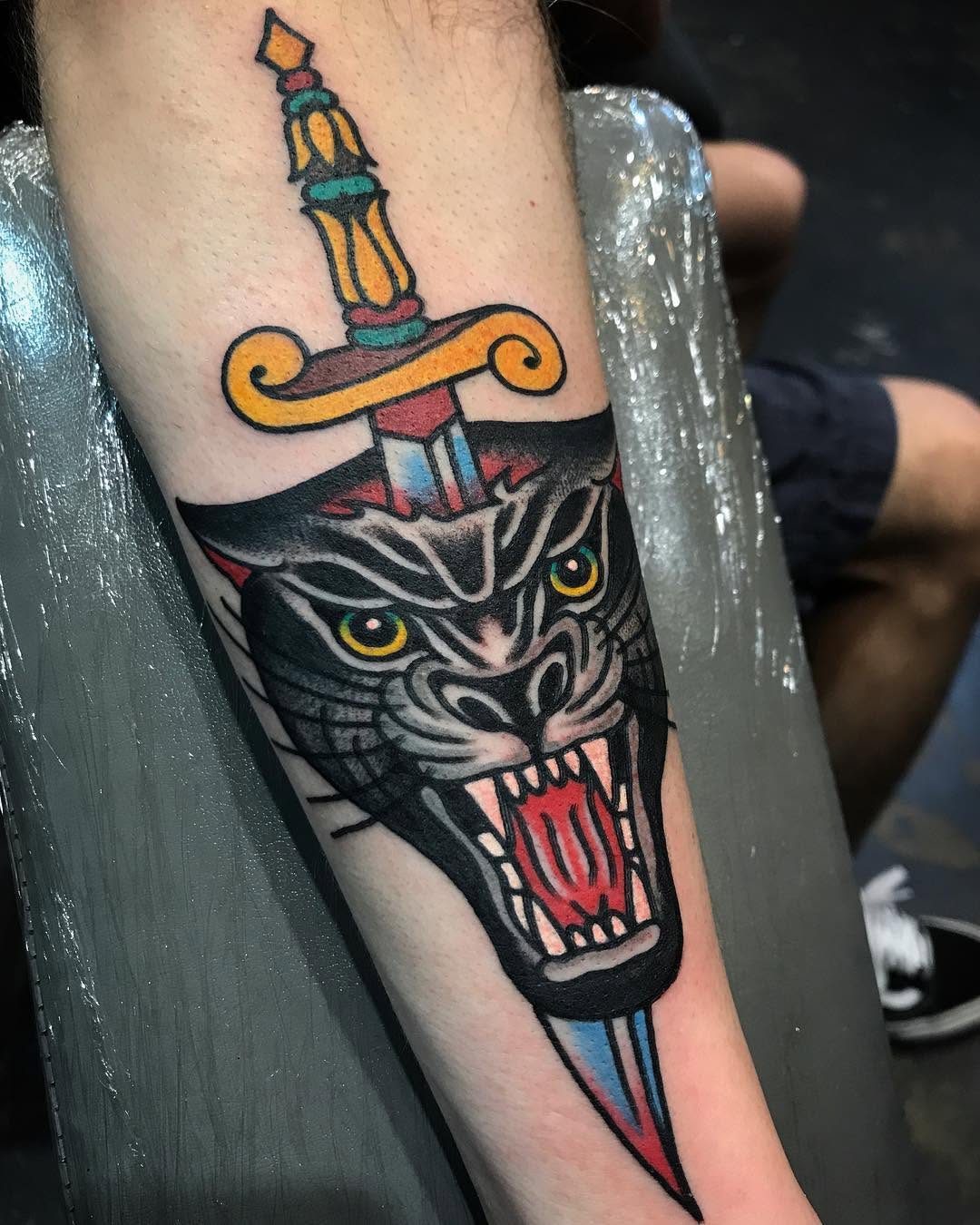 Tiger, Animal