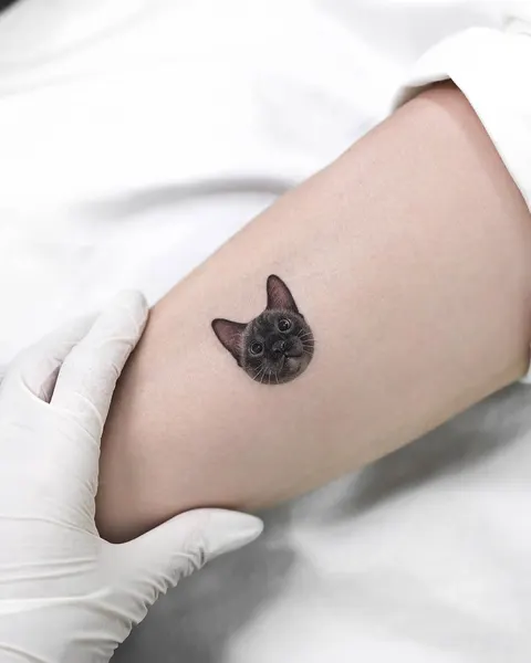고양이
