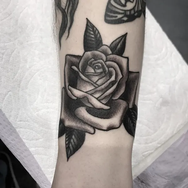 Flower, Rose