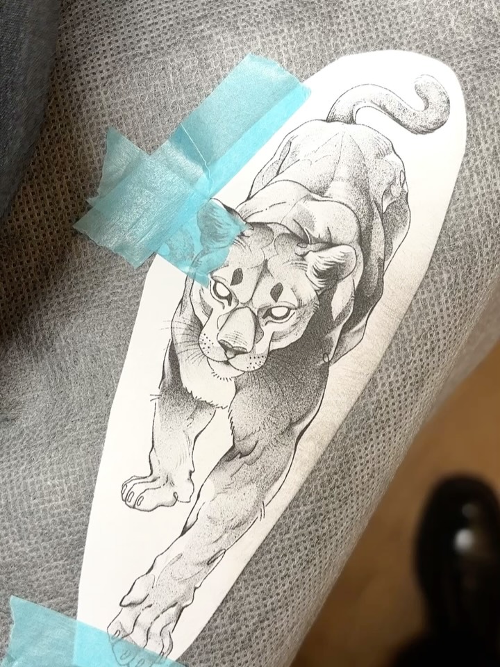 Tiger
