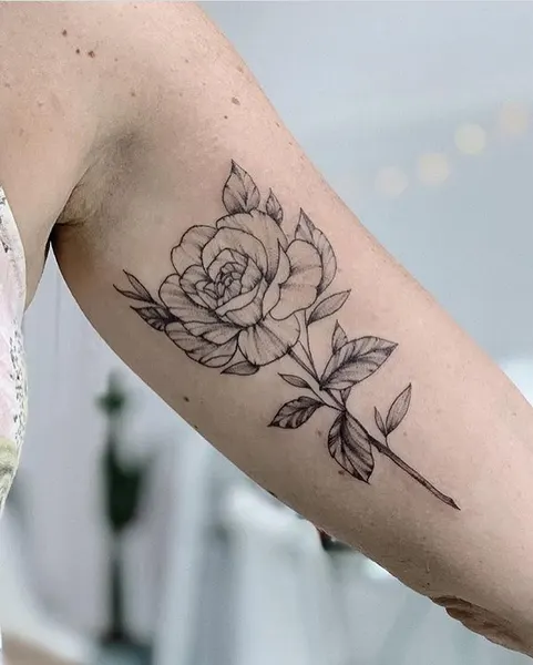 Flower, Rose