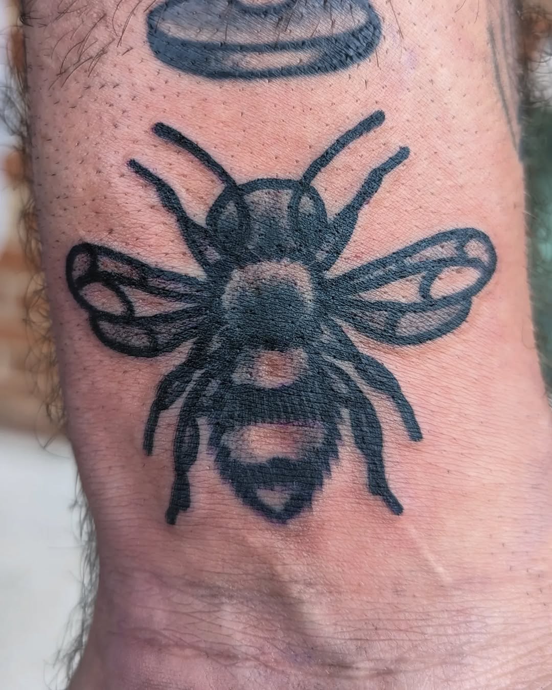 Animal