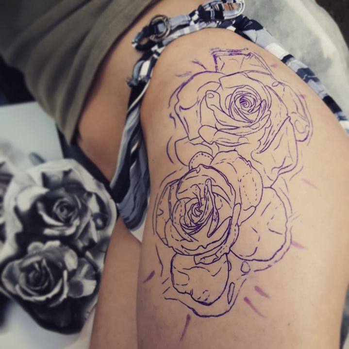Flower, Rose, Nature