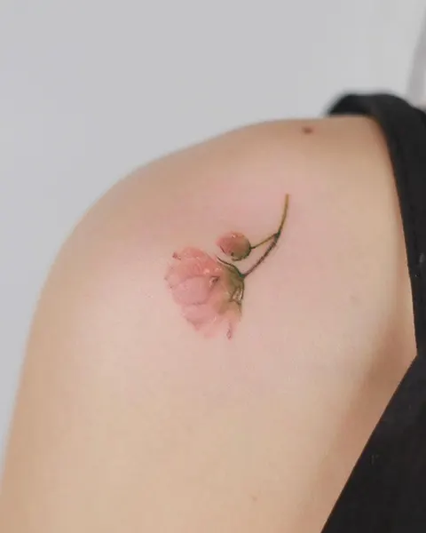 Flower, Rose